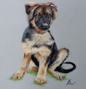 Portrait animalier Pastel sec